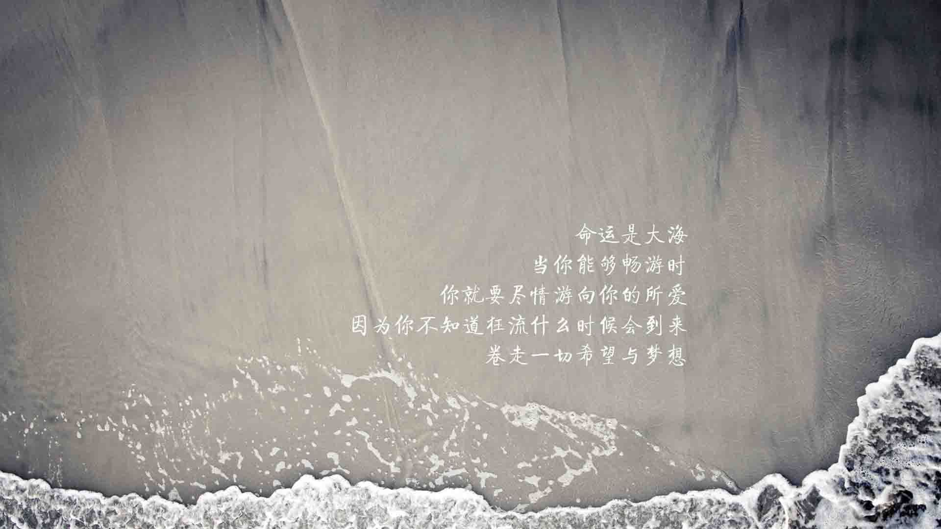 有机蔬菜大棚需要投资多少钱呢(大棚有机蔬菜每亩收入)