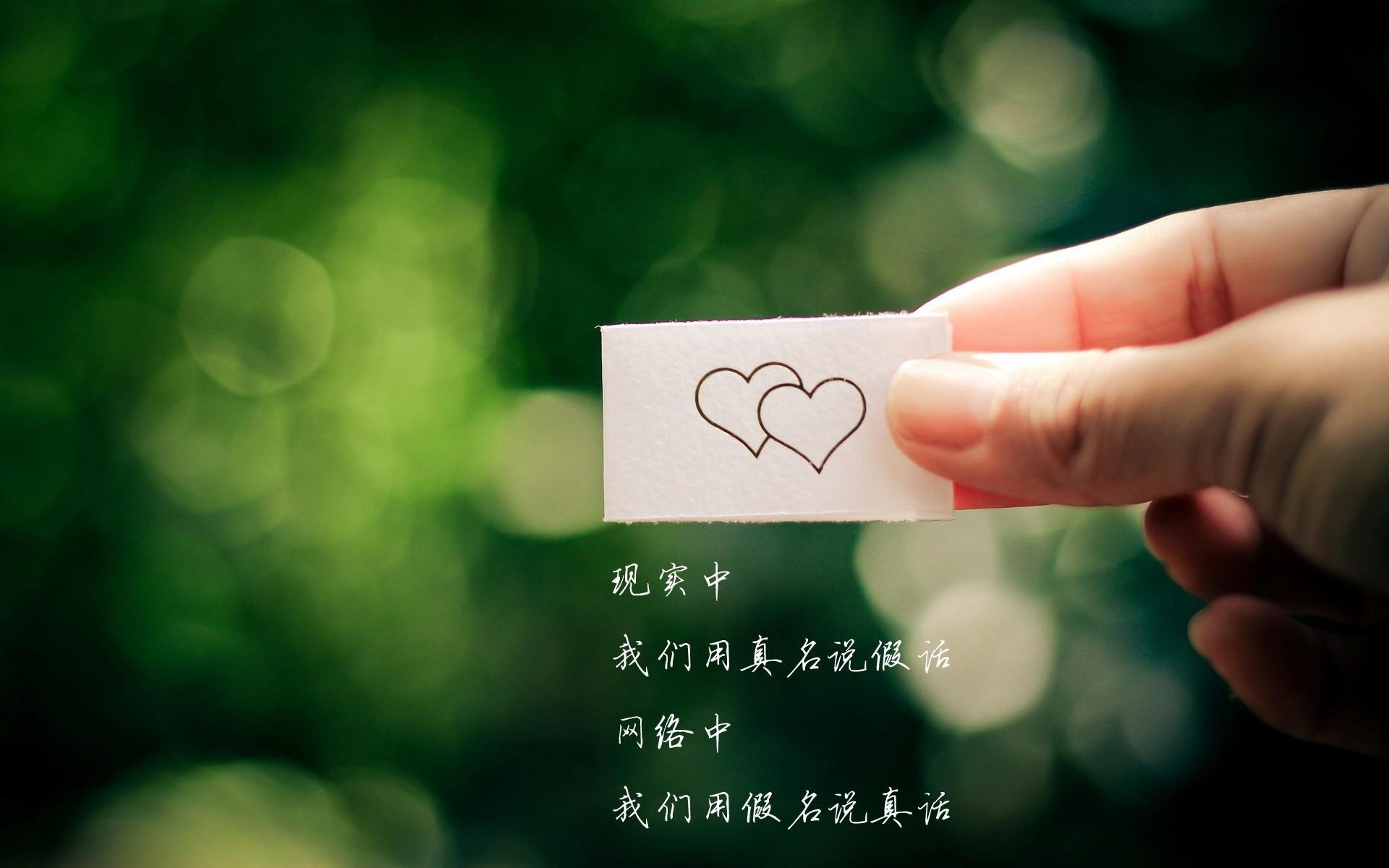 有机蔬菜生产基地(有机蔬菜基地简介)